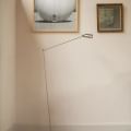 Enter the Loft Lumina Lamp Daphine